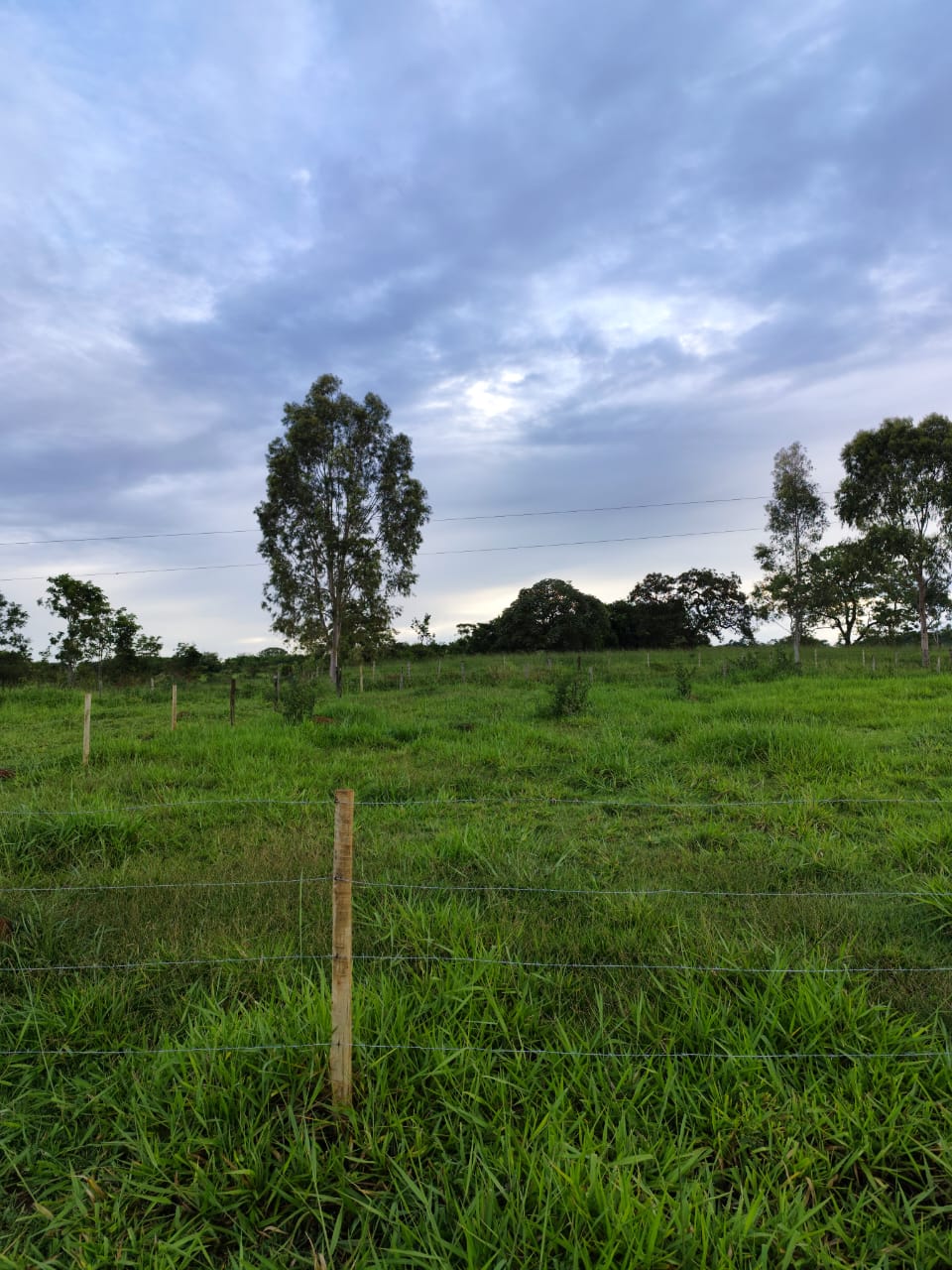 Lotes em Trindade (Vale dos Sonhos, 390m² cada)