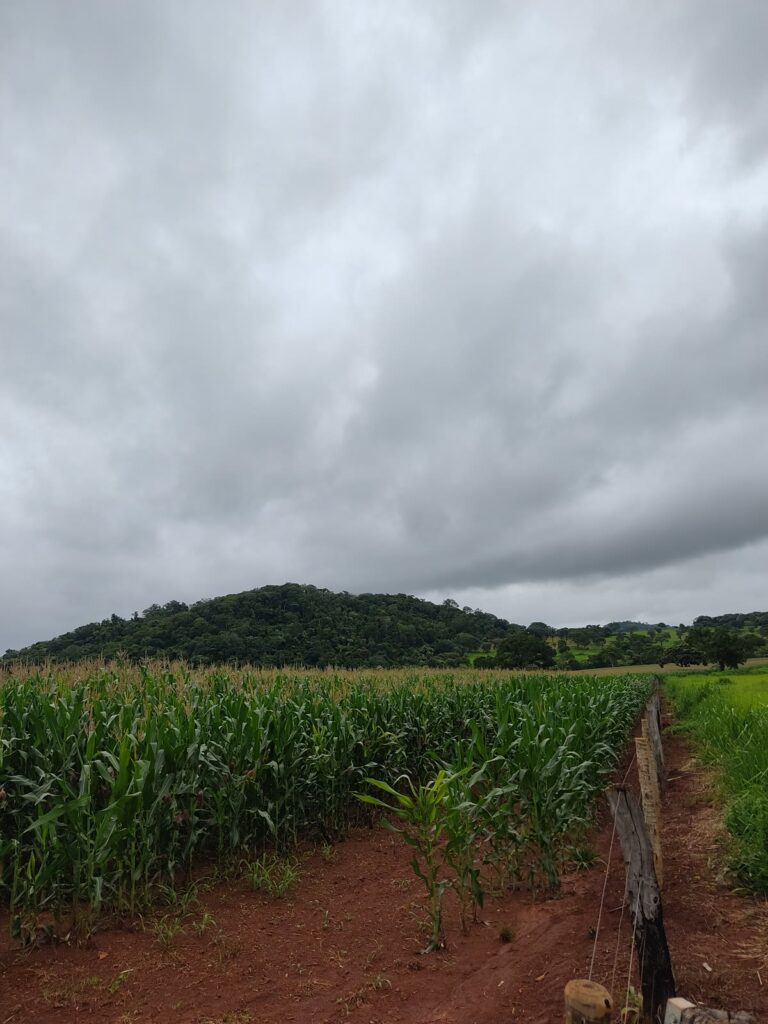Área urbana de 4 alqueires com lago no Vale dos Sonhos, ideal para condomínio, Trindade-GO – R$ 22,50 o m²