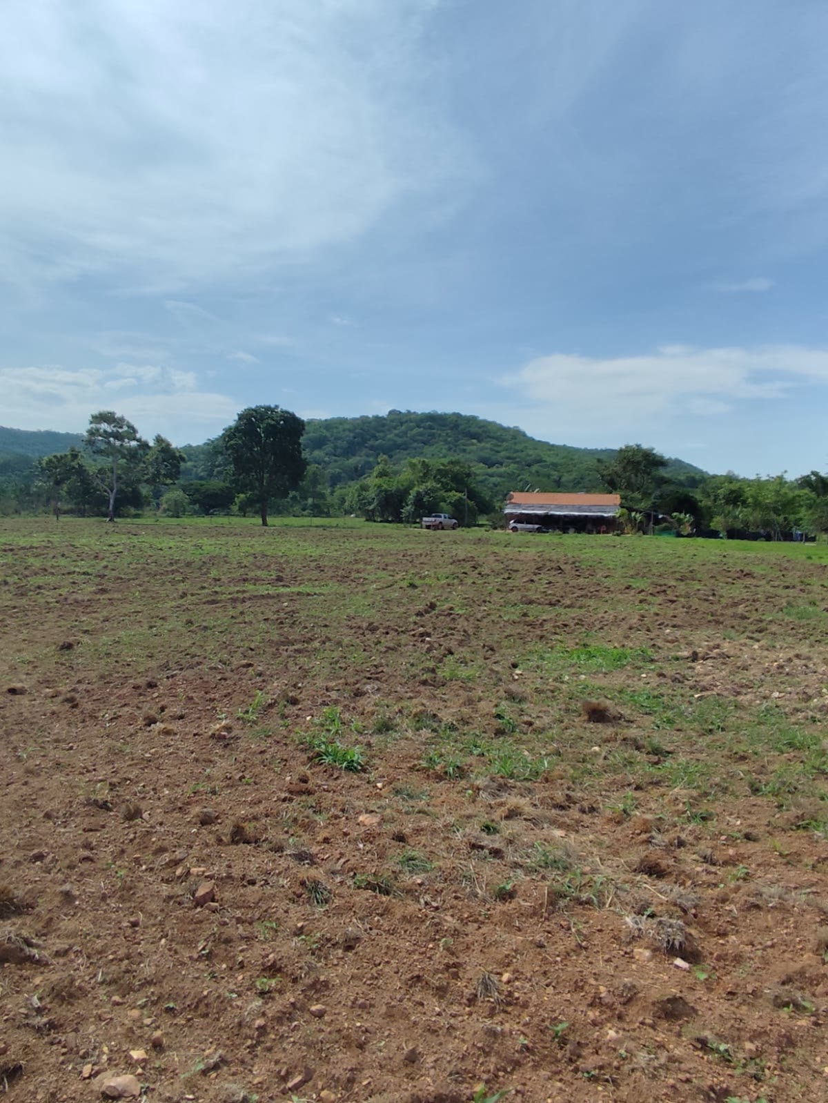 Chácara de 1 alqueire banhada pelo Rio Fundão, casa 3 quartos e terra de cultura em Campestre de Goiás – R$ 1 milhão