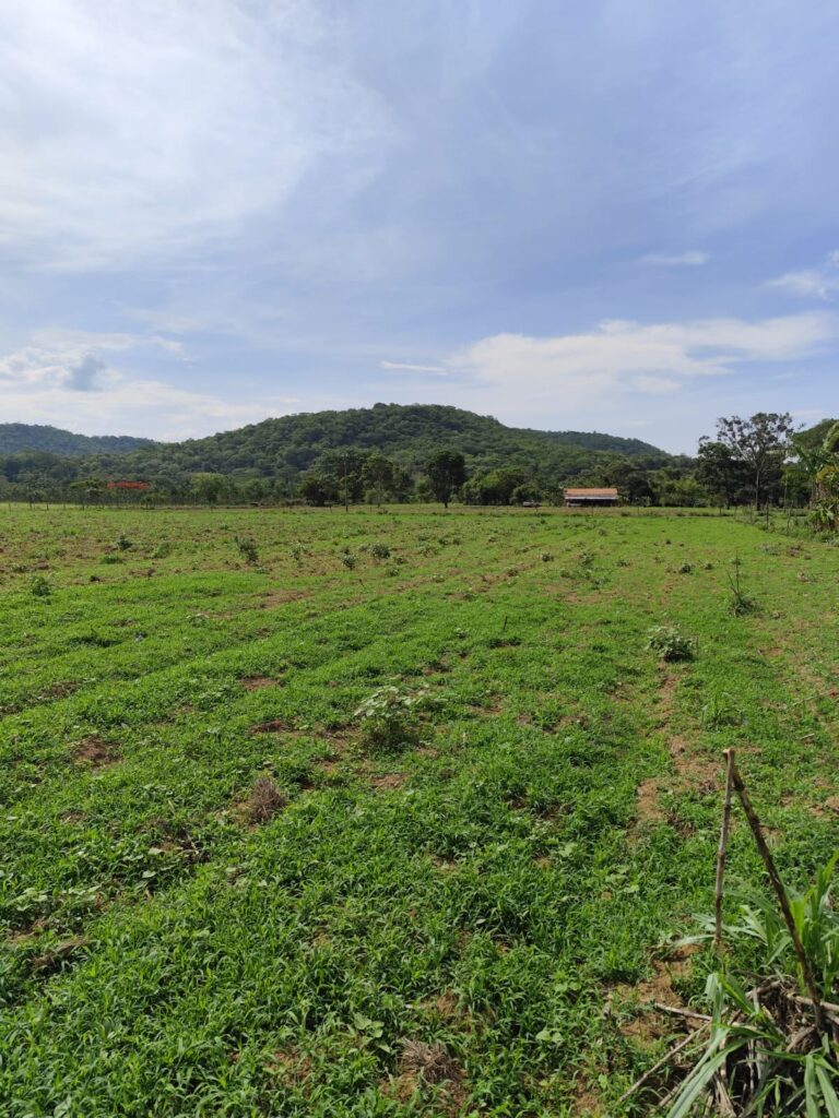 Chácara de 1 alqueire à venda em Campestre de Goiás, banhada pelo Rio Fundão