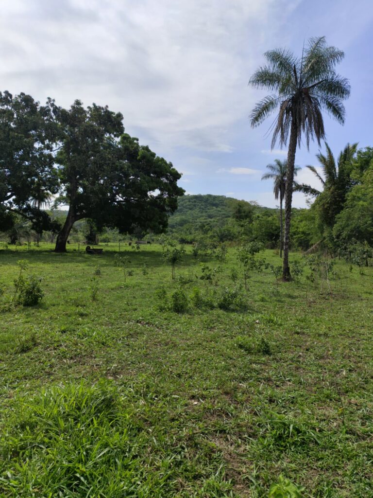 Chácara de 1 alqueire à venda em Campestre de Goiás, banhada pelo Rio Fundão