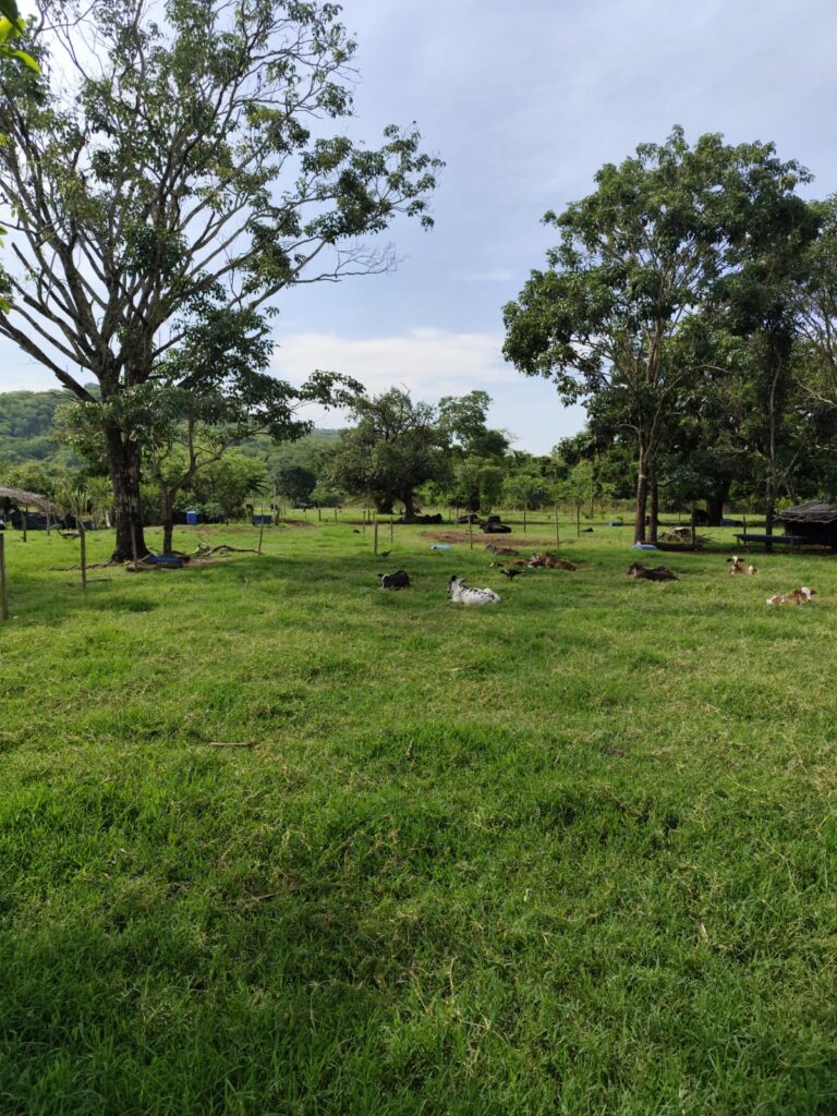 Chácara de 1 alqueire à venda em Campestre de Goiás, banhada pelo Rio Fundão