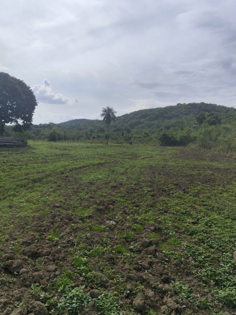 Chácara de 1 alqueire à venda em Campestre de Goiás, banhada pelo Rio Fundão