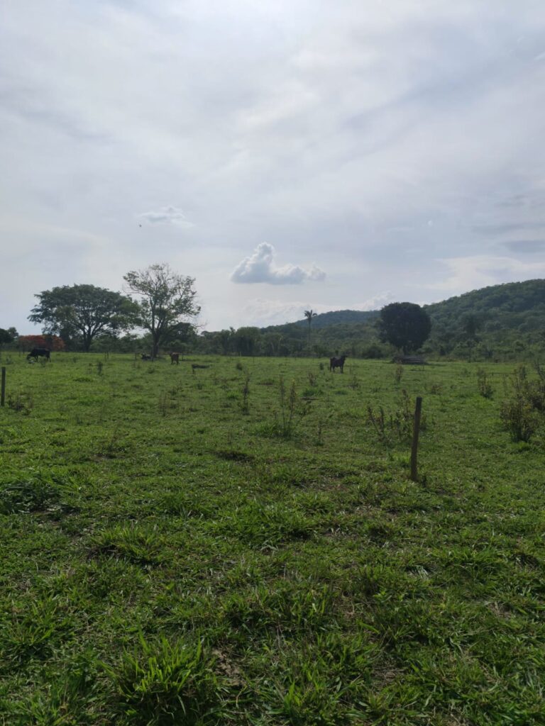 Chácara de 1 alqueire à venda em Campestre de Goiás, banhada pelo Rio Fundão