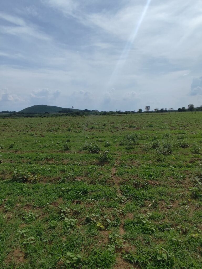 Chácara de 1 alqueire à venda em Campestre de Goiás, banhada pelo Rio Fundão