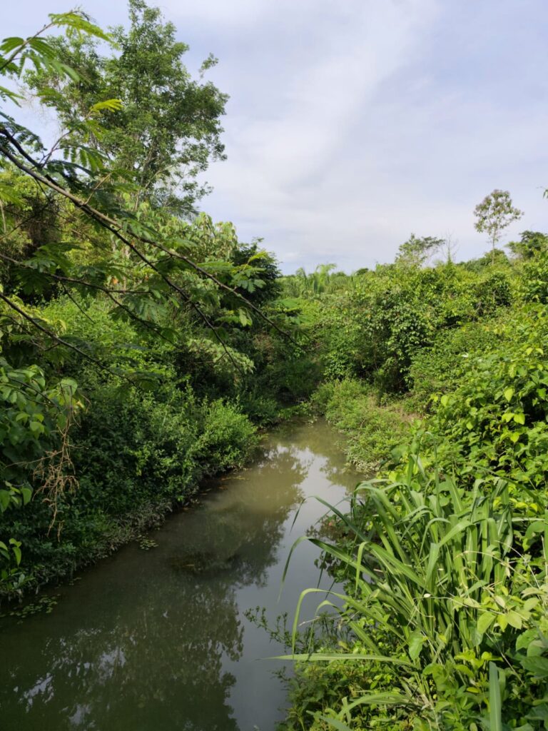 Chácara de 1 alqueire à venda em Campestre de Goiás, banhada pelo Rio Fundão