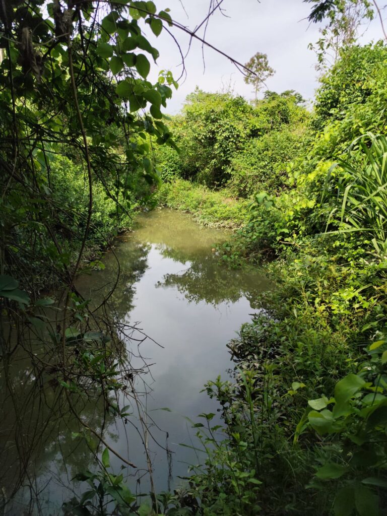 Chácara de 1 alqueire à venda em Campestre de Goiás, banhada pelo Rio Fundão
