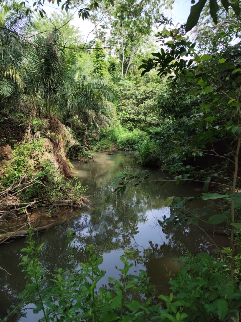 Chácara de 1 alqueire à venda em Campestre de Goiás, banhada pelo Rio Fundão