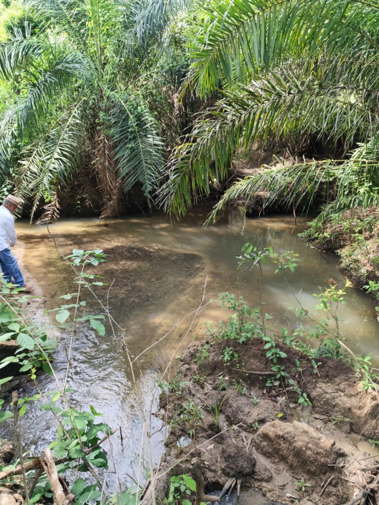 Chácara de 1 alqueire à venda em Campestre de Goiás, banhada pelo Rio Fundão