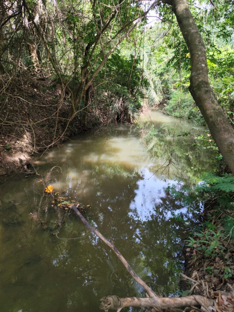 Chácara de 1 alqueire à venda em Campestre de Goiás, banhada pelo Rio Fundão