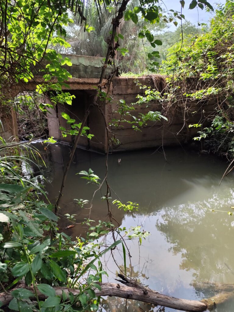 Chácara de 1 alqueire à venda em Campestre de Goiás, banhada pelo Rio Fundão