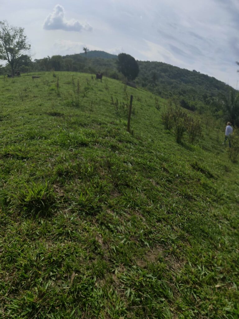 Chácara de 1 alqueire à venda em Campestre de Goiás, banhada pelo Rio Fundão