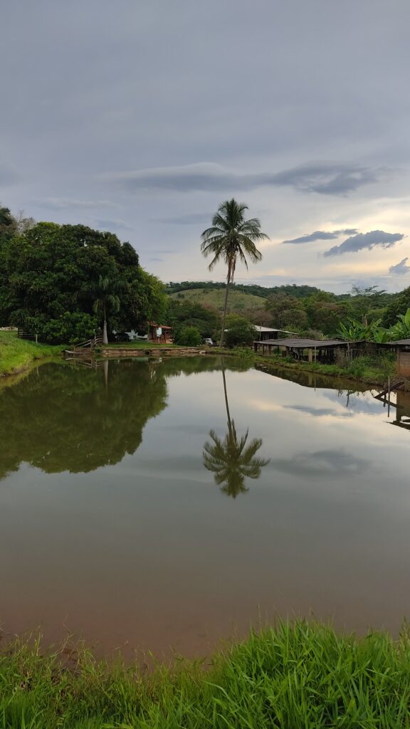 Chácara de 3 alqueires com lagos à venda em Trindade-GO