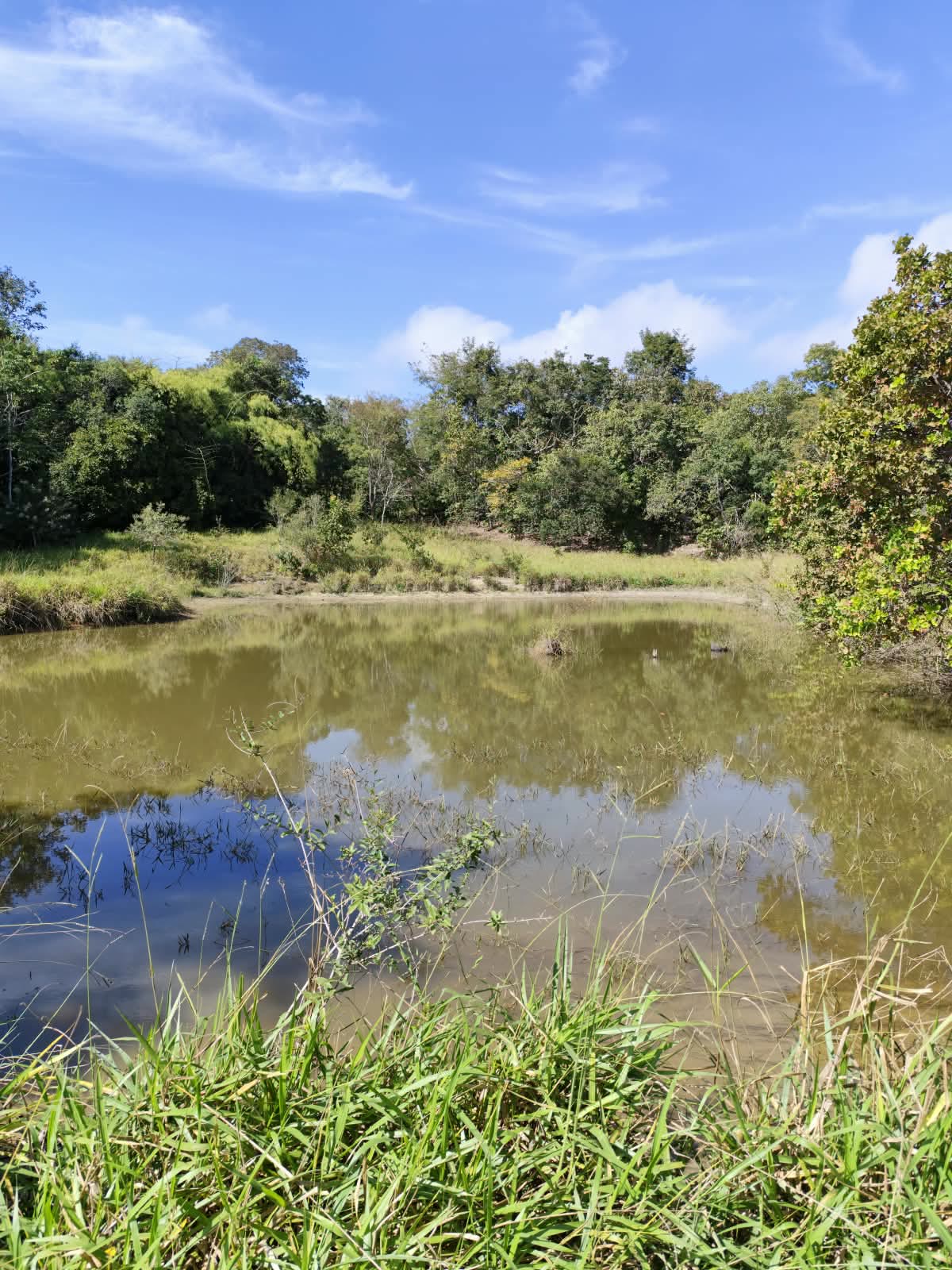 Chácara de 4 alqueires com nascente e lago em Campestre de Goiás, a 50 km de Goiânia – R$ 400 mil o alqueire