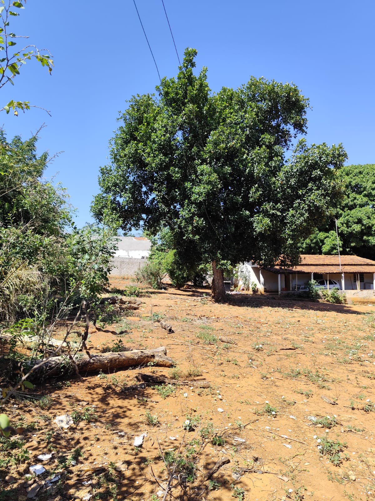 Chácara de 3.975 m² no Jardim Decolores, Trindade-GO – R$ 450 mil