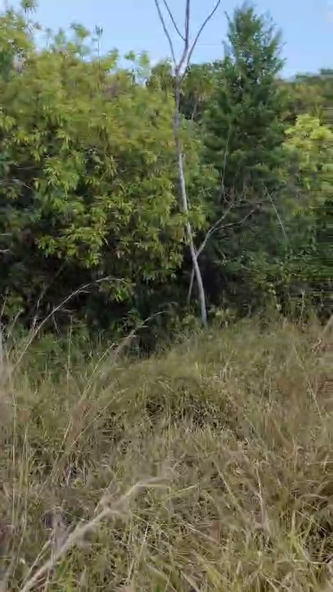 Chácara de 2.898 m² com rego d'água no Condomínio Veredas do Lago, Trindade-GO – R$ 160 o m²