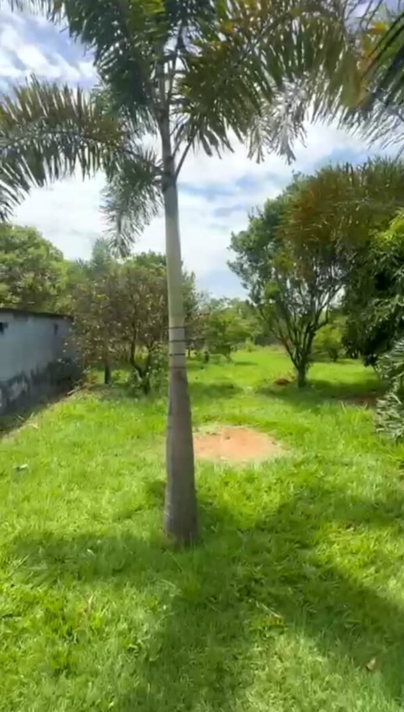 Chácara de 5.000 m² com piscina e lago em Santa Maria, Trindade-GO