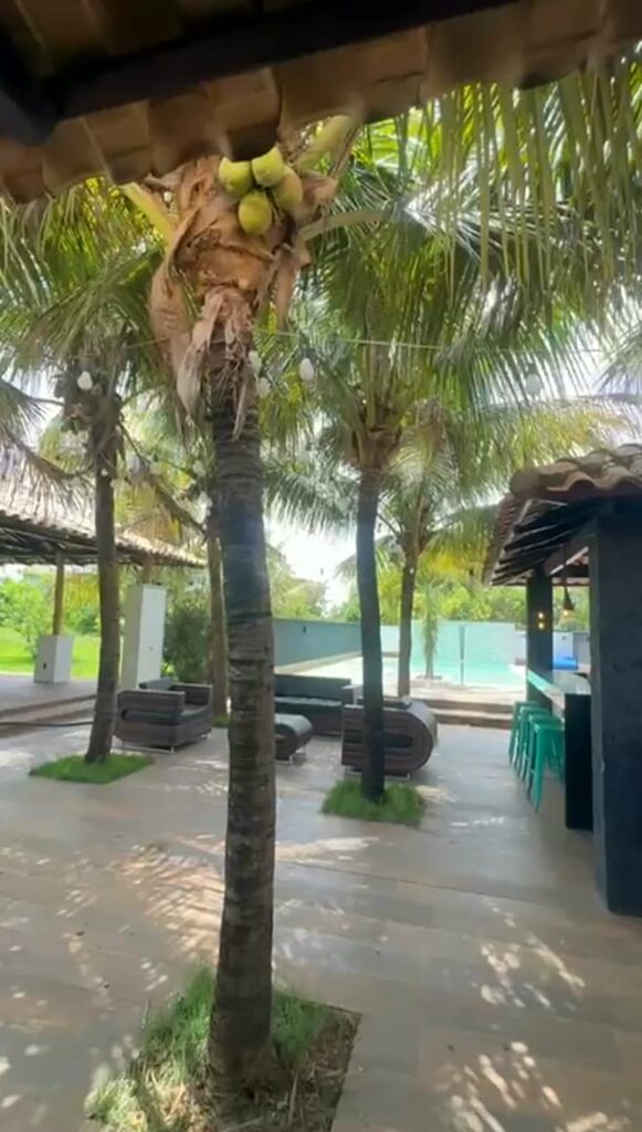 Chácara de 5.000 m² com piscina e lago em Santa Maria, Trindade-GO
