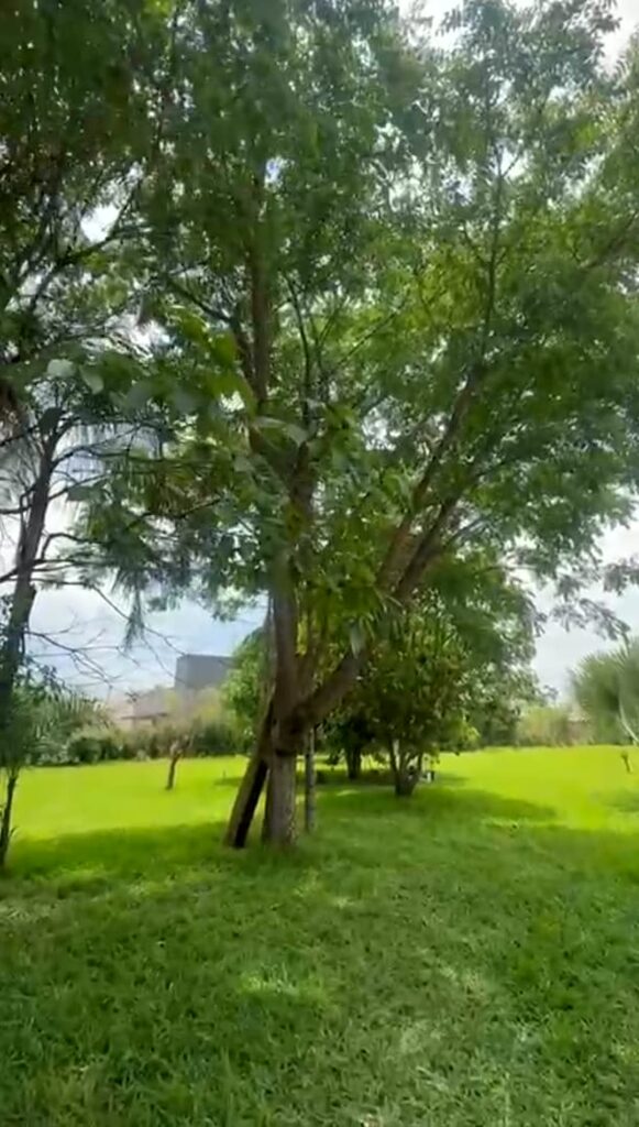 Chácara de 5.000 m² com piscina e lago em Santa Maria, Trindade-GO