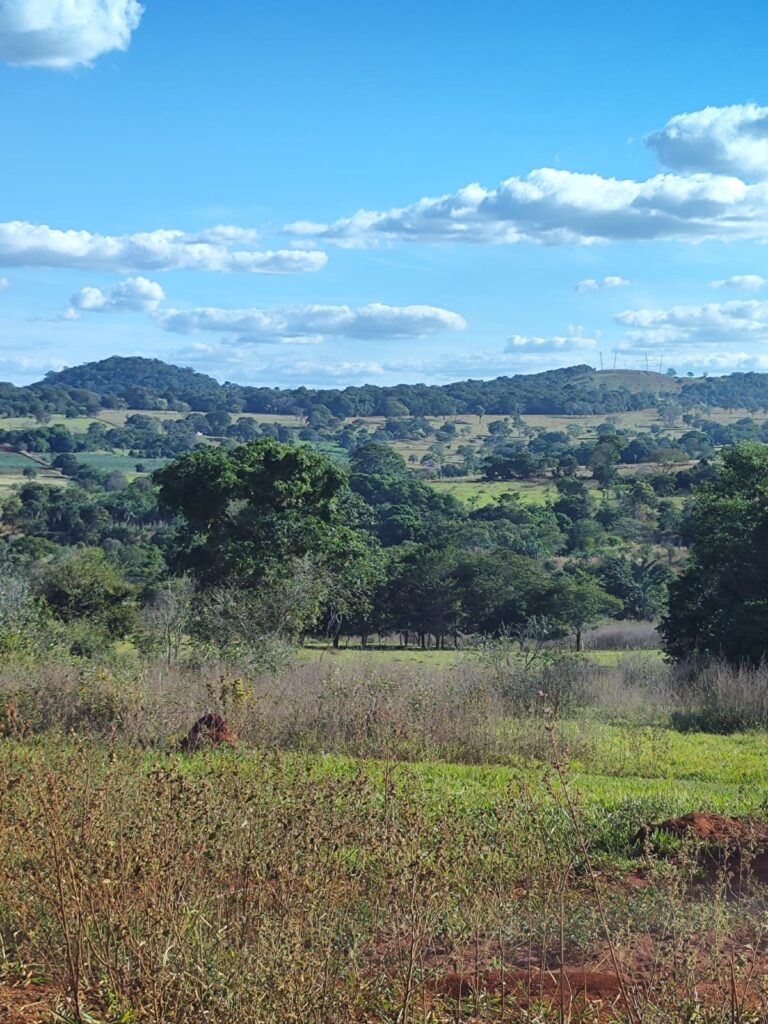 Fazenda de 14 alqueires de terra de cultura a 18 km de Trindade – R$ 320 mil/alqueire