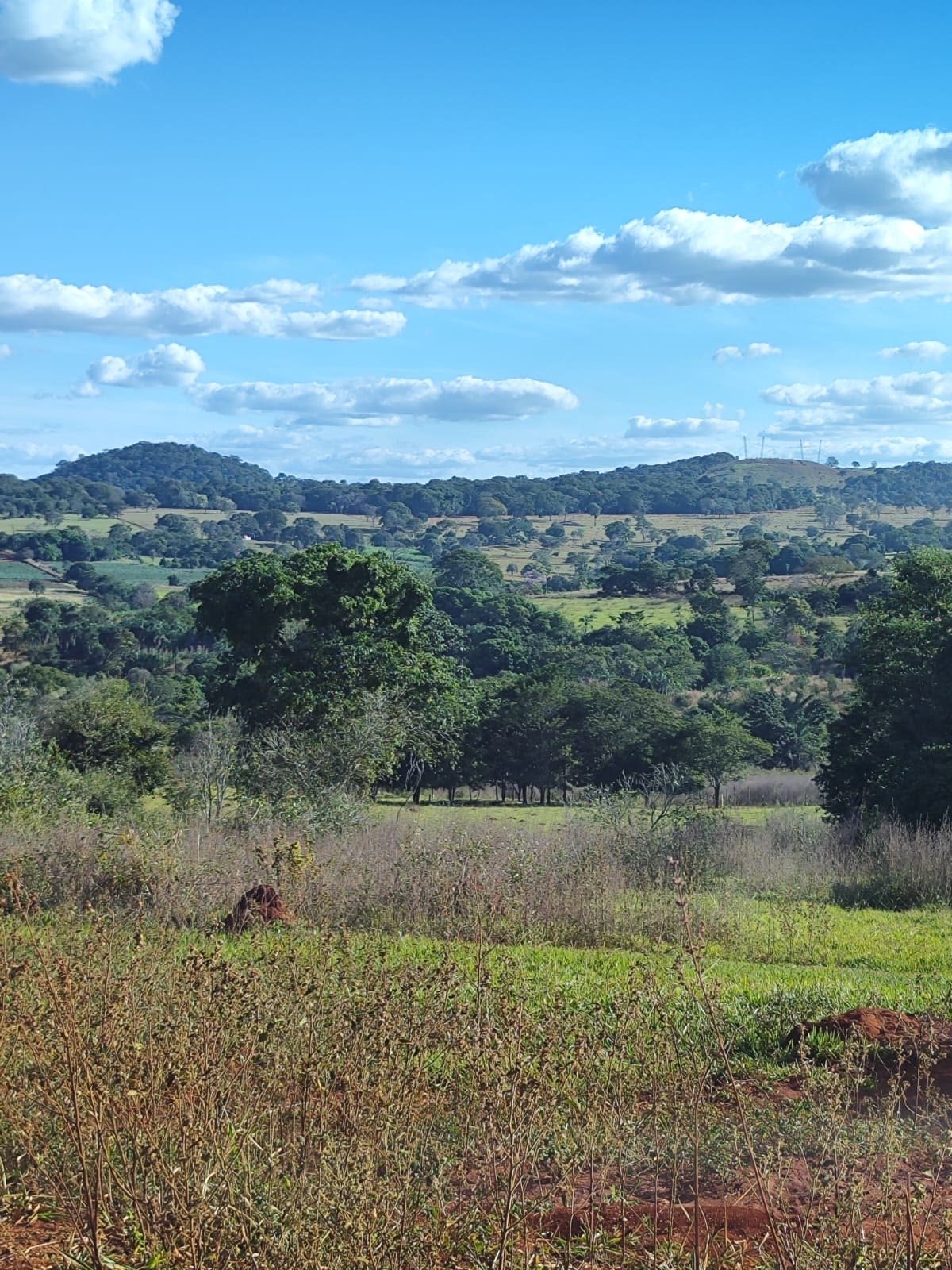 Fazenda de 14 alqueires de terra de cultura a 18 km de Trindade – R$ 320 mil/alqueire