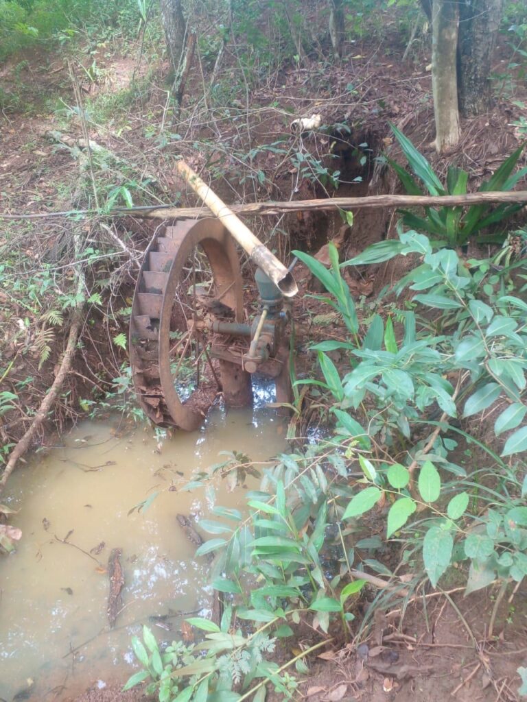 Fazenda de 14 alqueires à venda perto de Trindade-GO