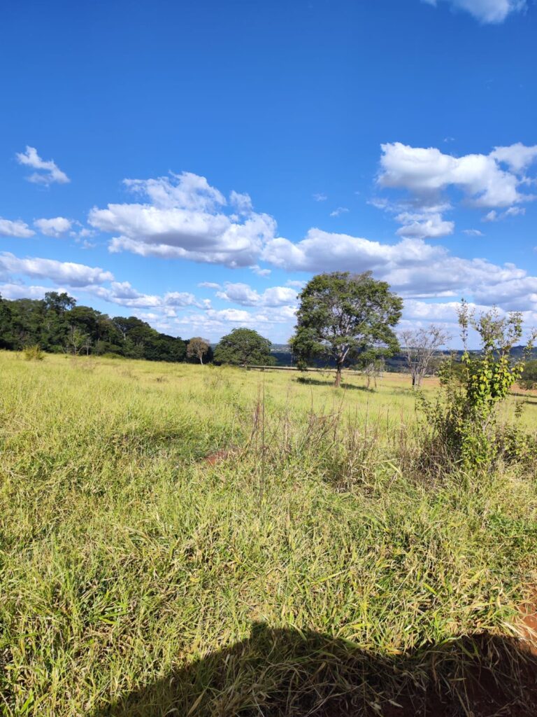 Fazenda de 14 alqueires à venda perto de Trindade-GO