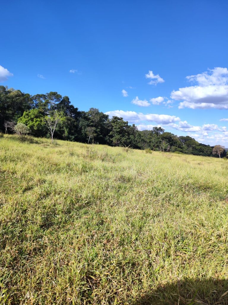 Fazenda de 14 alqueires à venda perto de Trindade-GO