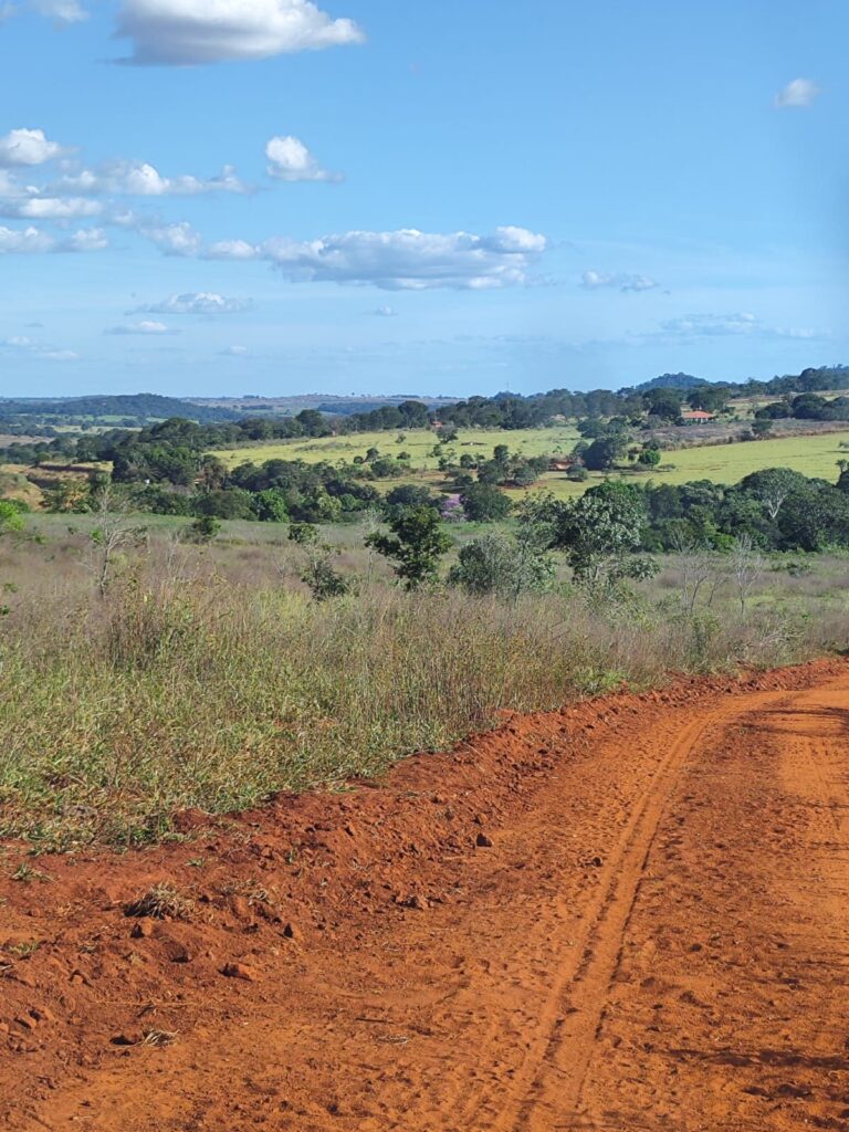 Fazenda de 14 alqueires à venda perto de Trindade-GO