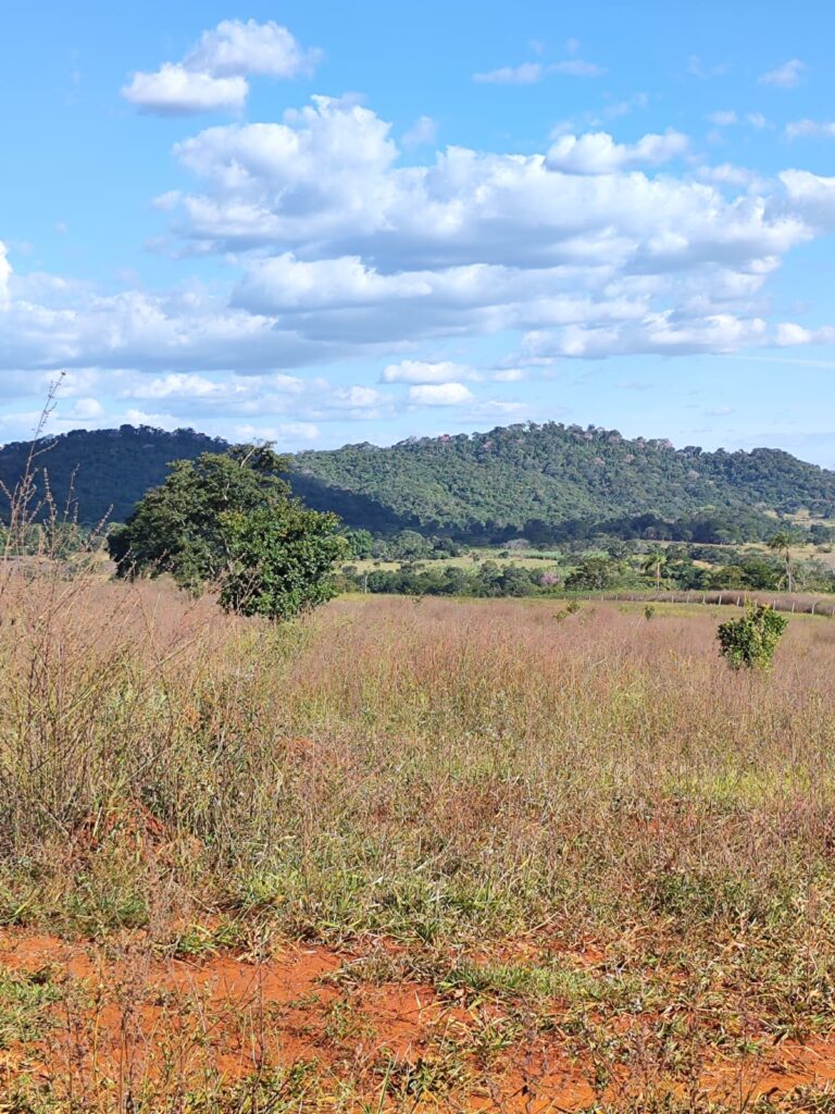 Fazenda de 14 alqueires à venda perto de Trindade-GO