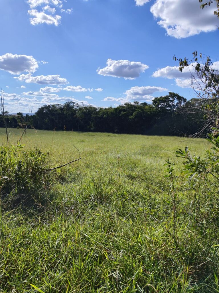 Fazenda de 14 alqueires à venda perto de Trindade-GO