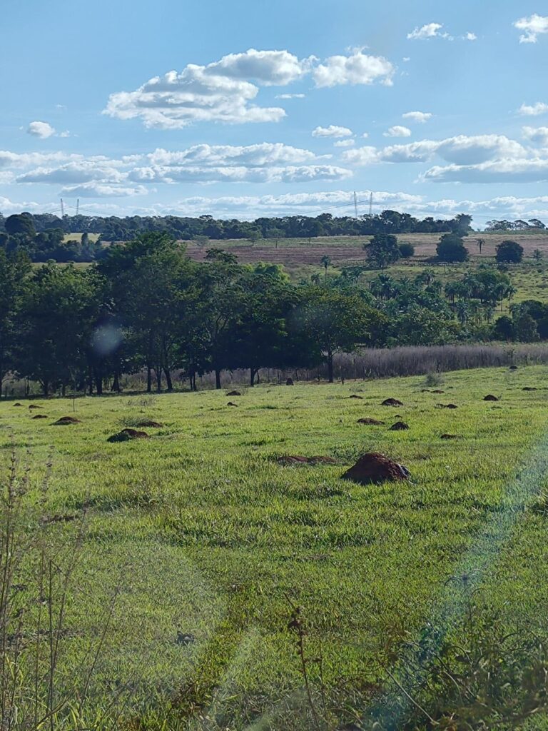 Fazenda de 14 alqueires à venda perto de Trindade-GO
