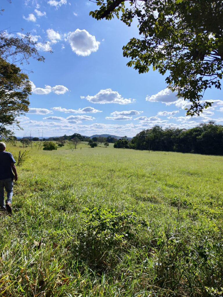 Fazenda de 14 alqueires à venda perto de Trindade-GO