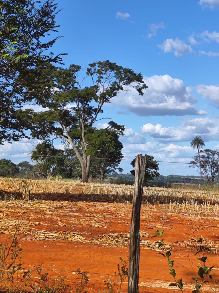 Fazenda de 14 alqueires à venda perto de Trindade-GO