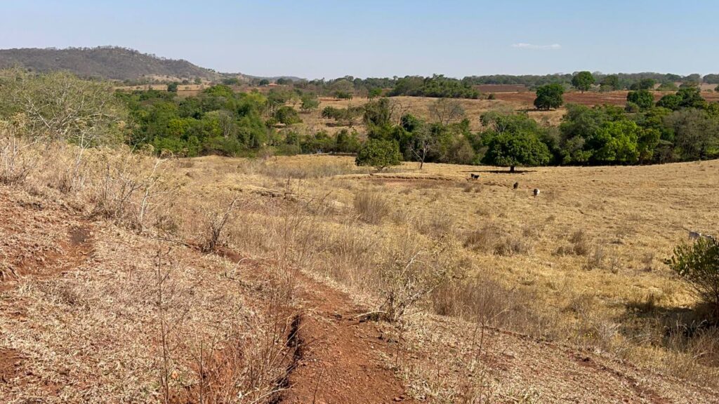 Fazenda de 20 alqueires à venda em Trindade-GO