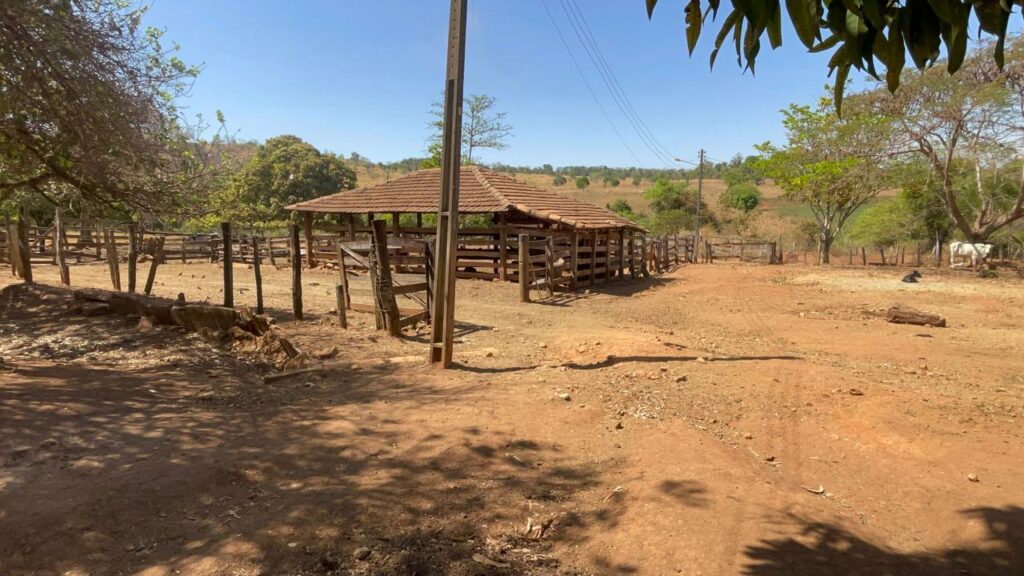 Fazenda de 20 alqueires à venda em Trindade-GO
