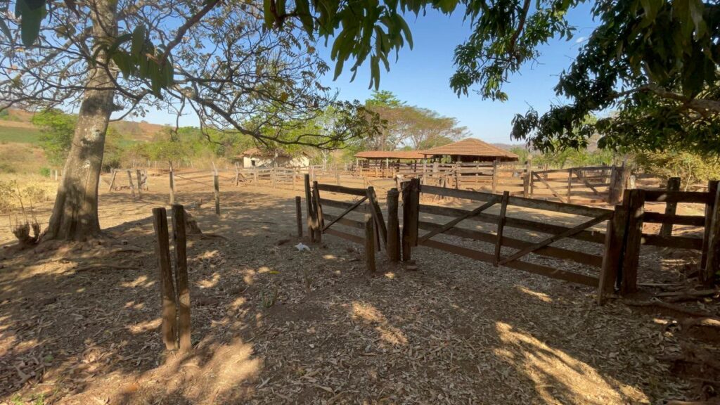 Fazenda de 20 alqueires à venda em Trindade-GO