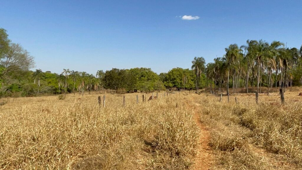Fazenda de 20 alqueires à venda em Trindade-GO