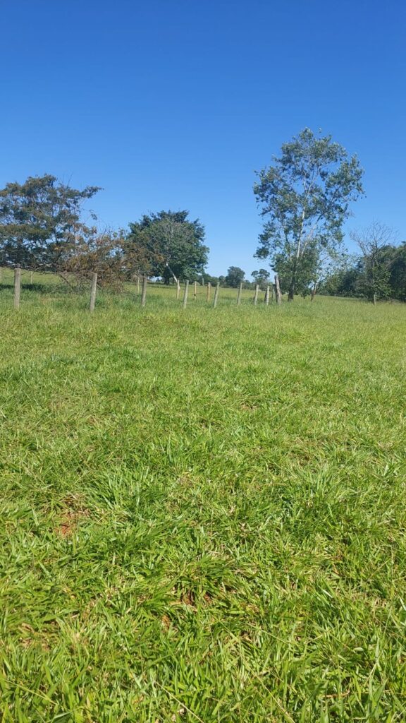 Fazenda de 33 alqueires com lavoura à venda em Jaraguá-GO