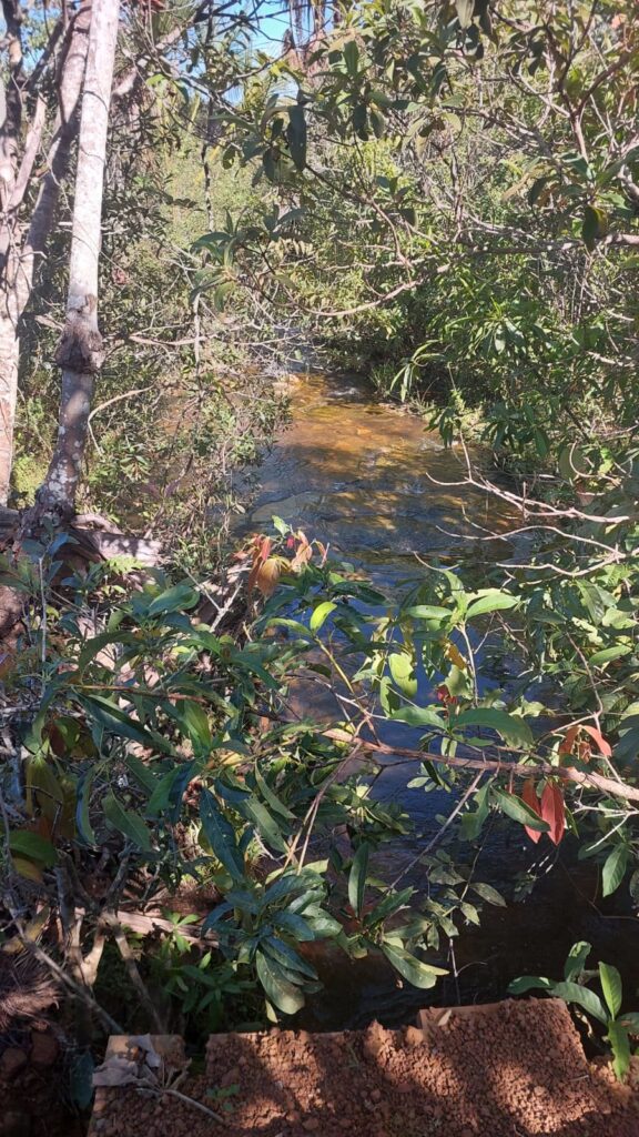 Fazenda de 33 alqueires com lavoura à venda em Jaraguá-GO