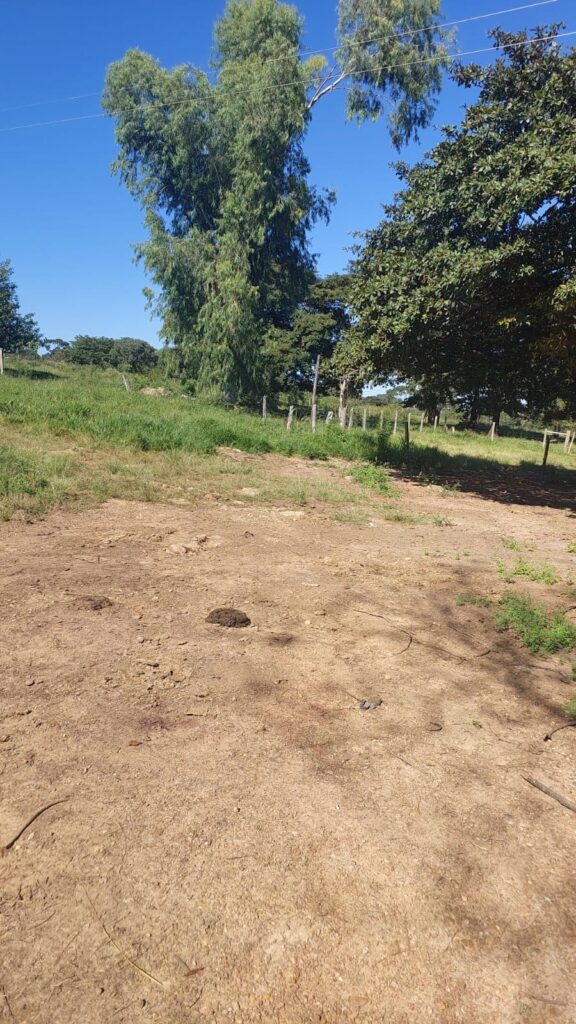 Fazenda de 33 alqueires com lavoura à venda em Jaraguá-GO