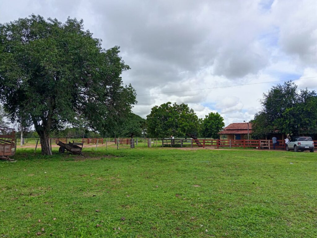 Fazenda de 424 alqueires à venda em Araguaiana-MT