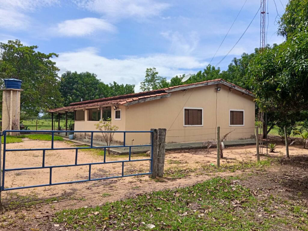 Fazenda de 424 alqueires à venda em Araguaiana-MT