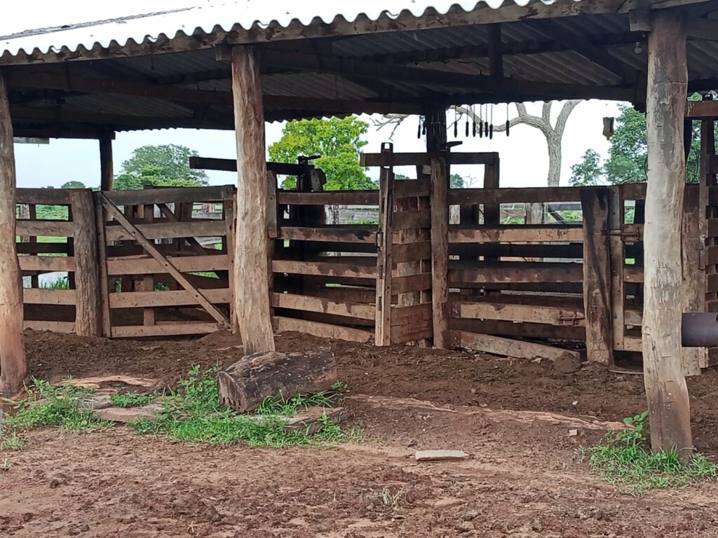 Fazenda de 424 alqueires à venda em Araguaiana-MT