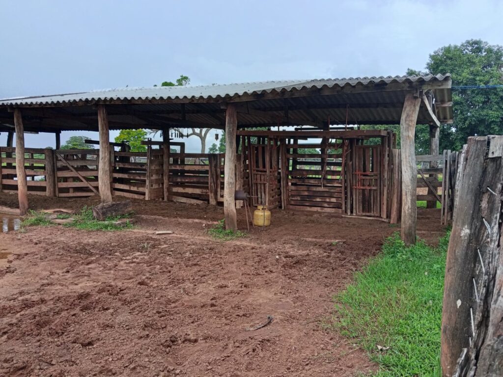 Fazenda de 424 alqueires à venda em Araguaiana-MT