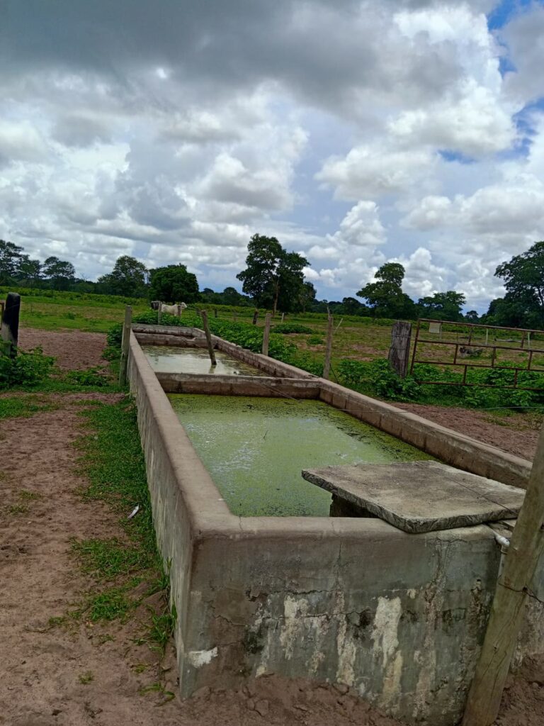 Fazenda de 424 alqueires à venda em Araguaiana-MT