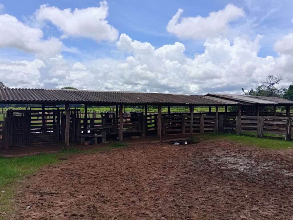 Fazenda de 424 alqueires à venda em Araguaiana-MT
