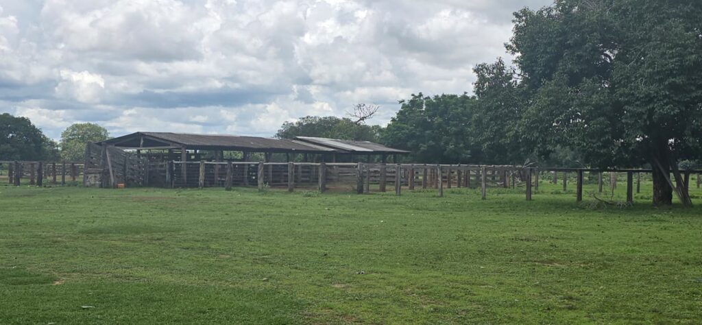 Fazenda de 424 alqueires à venda em Araguaiana-MT