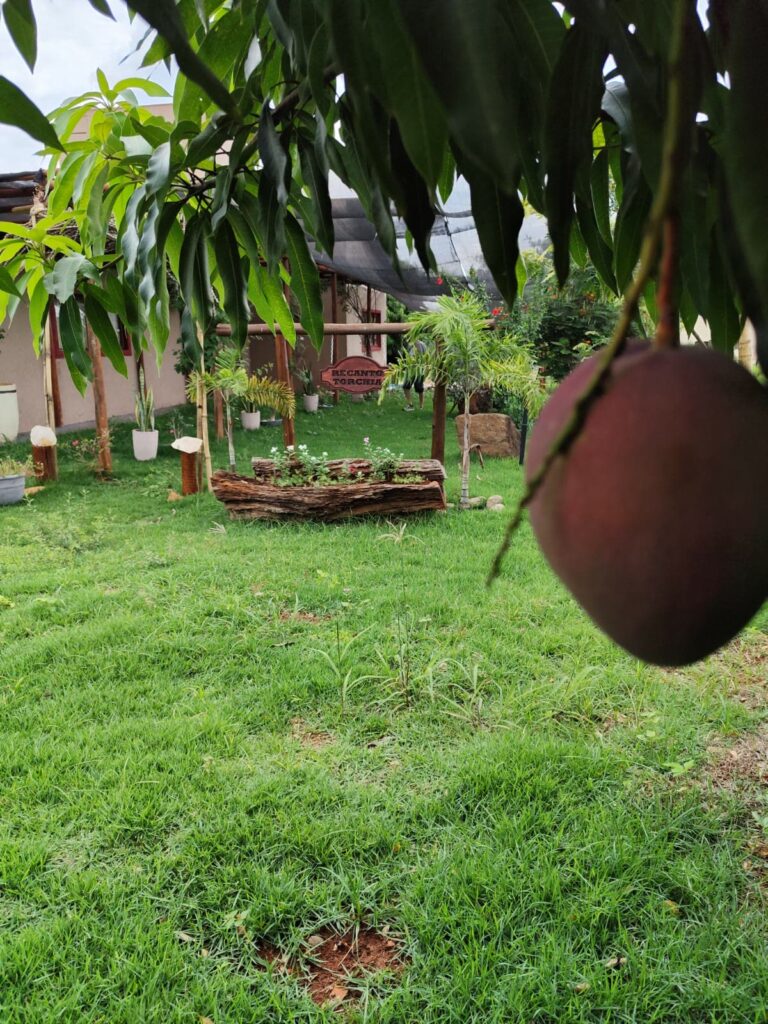 Chácara de 1.000 m² à venda no Condomínio Monte Hermon, Trindade-GO
