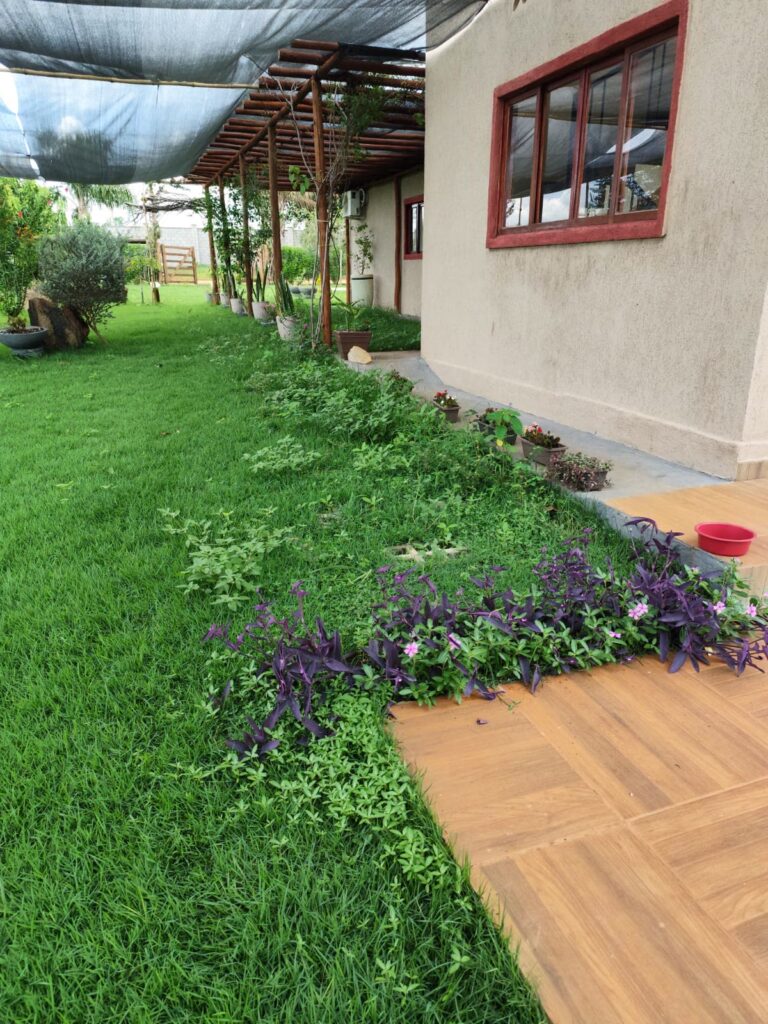 Chácara de 1.000 m² à venda no Condomínio Monte Hermon, Trindade-GO